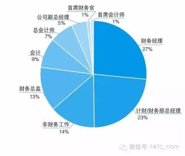 大数据与会计_大数据与会计调查报告